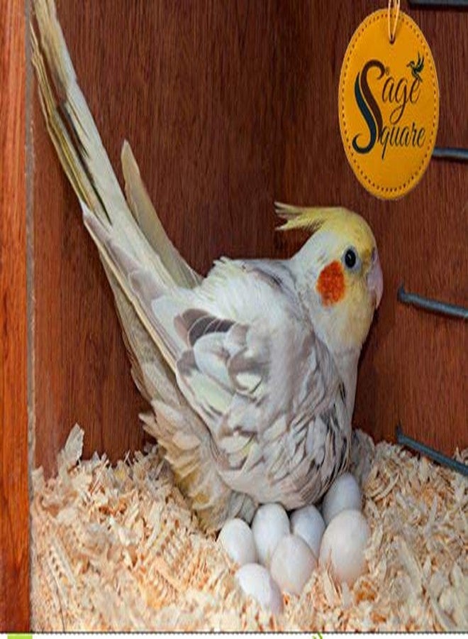 سايج سكوير 450 غرام من نشارة الخشب الطبيعي الناعم، تُستخدم كفرش ومأوى لجميع أنواع الطيور - Image 5